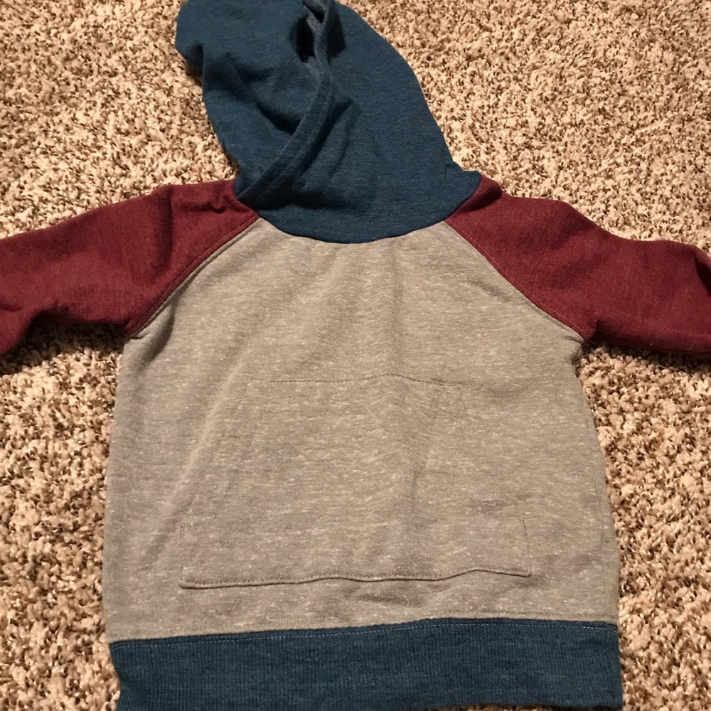 2T Boys Tucker and Tate Hoodie